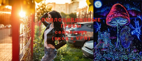 мдпв Россошь