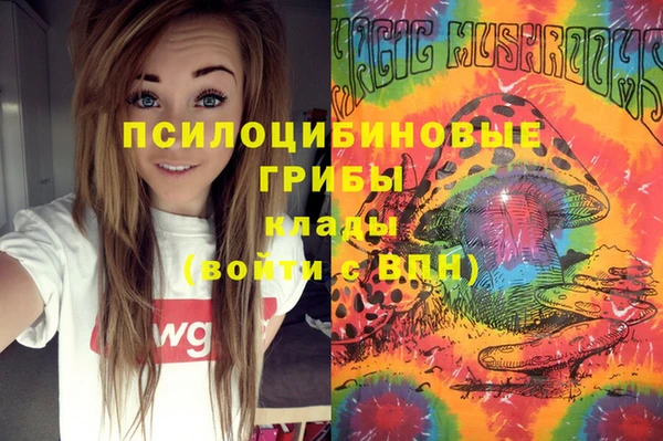ALPHA PVP Рославль
