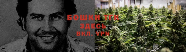 мдпв Россошь