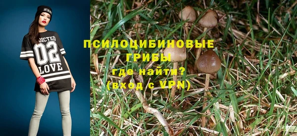 твердый Ростов