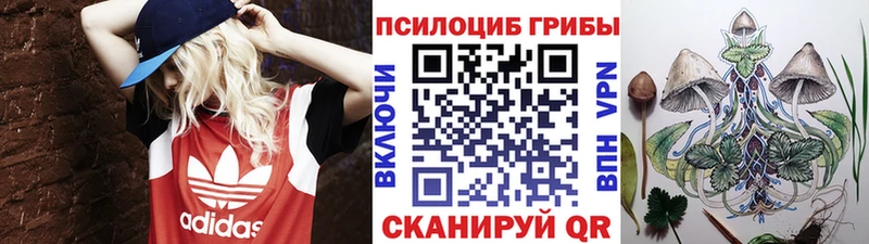 наркотики  Суздаль  Галлюциногенные грибы мицелий 